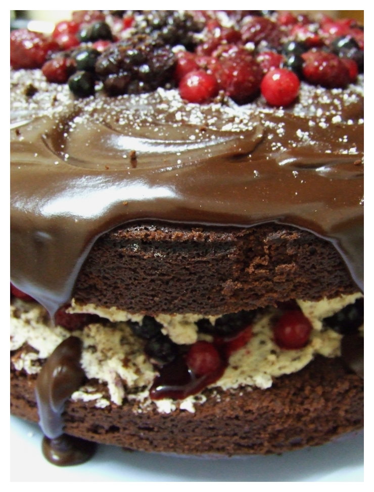 Chocolate Berry Mud Cake by RainbowsandDaydreams Chocolate Berry Mud Cake by RainbowsandDaydreams