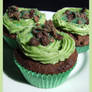 Mint Chocolate Cupcakes