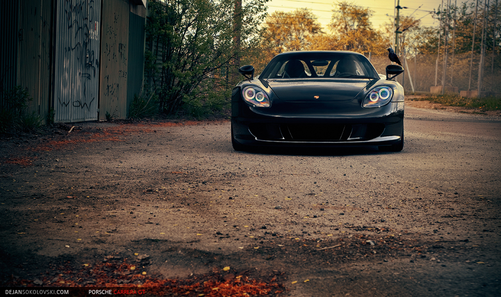 Porsche Carrera GT - B I R D