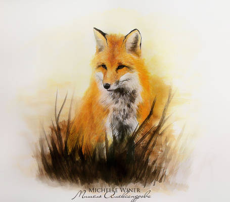 Fox