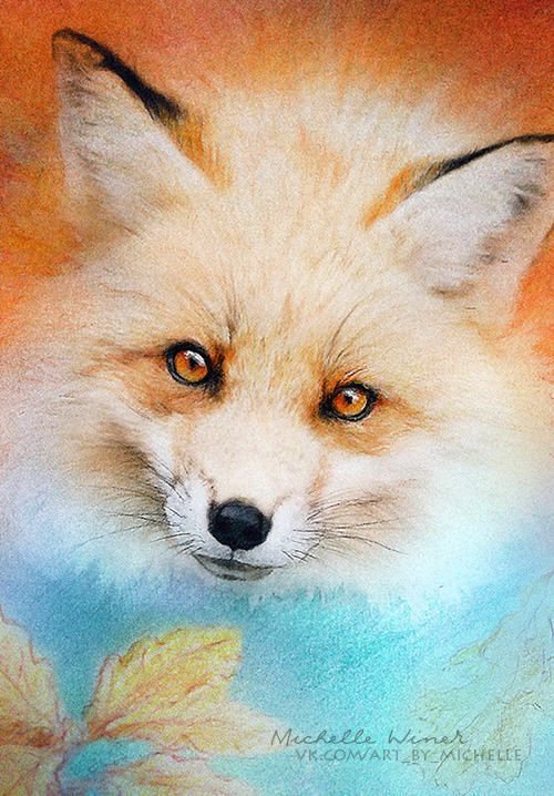 Fluffy fox