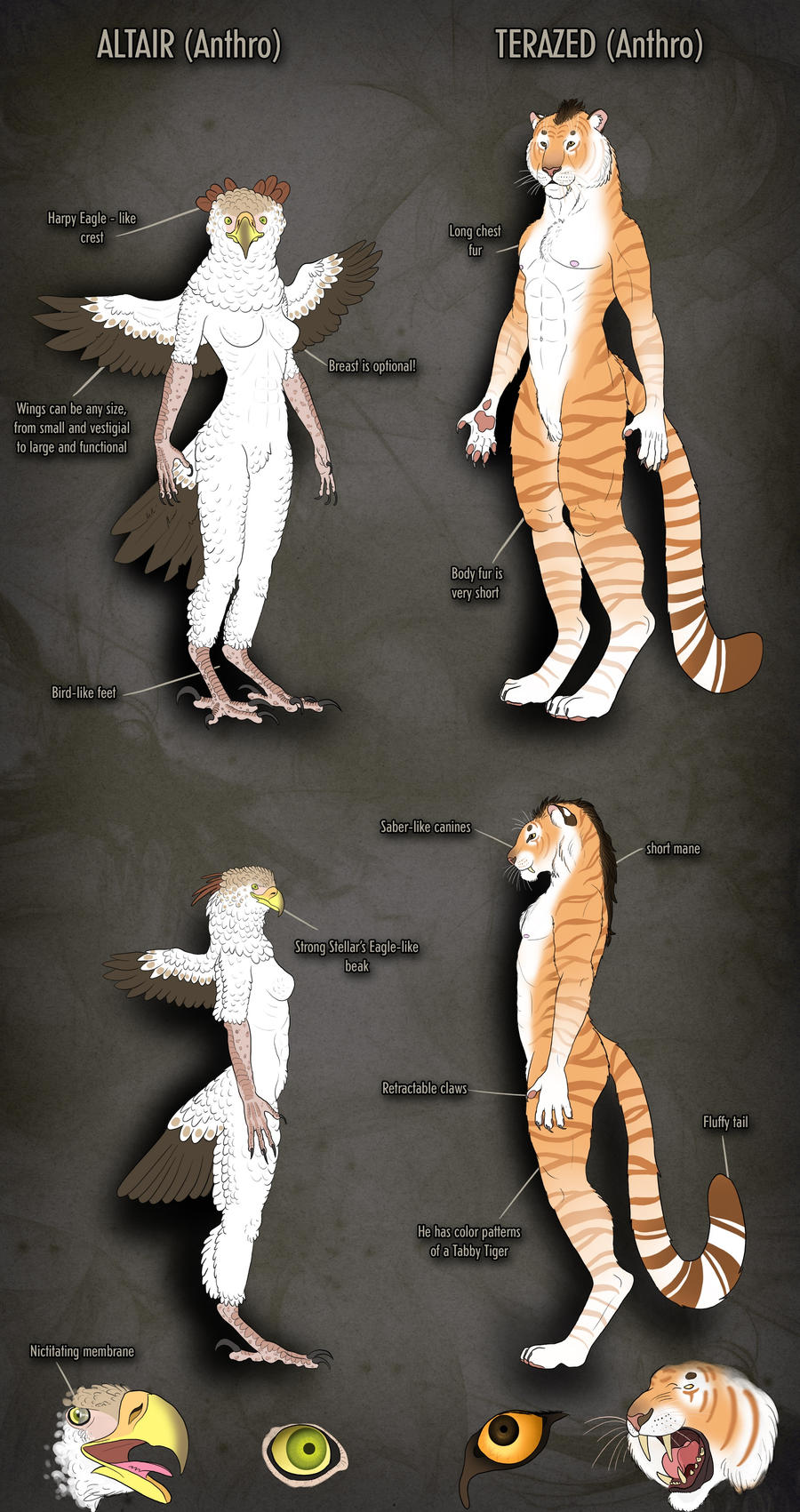 anthro_altair_terazed_reference_sheet_by_altairsky_d4kyhki-fullview.jpg