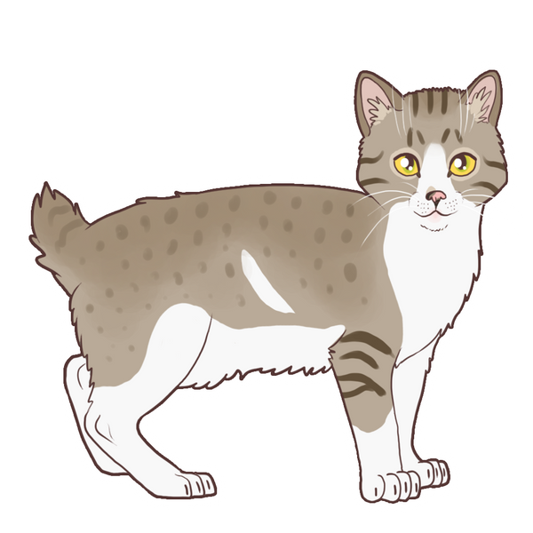 magnus_by_altairsky_dc0xkxo-fullview.png