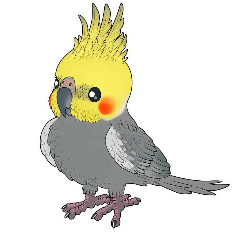birby_birb_coco_by_altairsky_dcutz6m-fullview.png