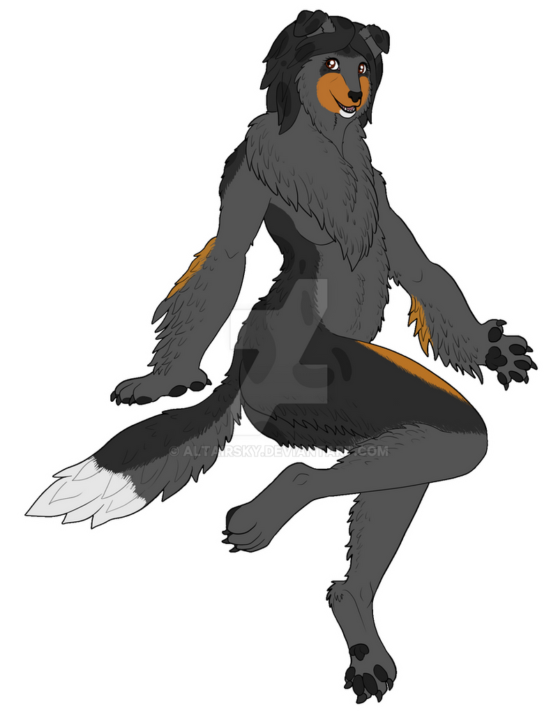 laddie_for_colliequest_by_altairsky_ddhnznh-fullview.png