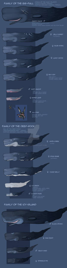 Whale Characters reference sheets