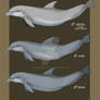 Dolphin Gang - Character reference