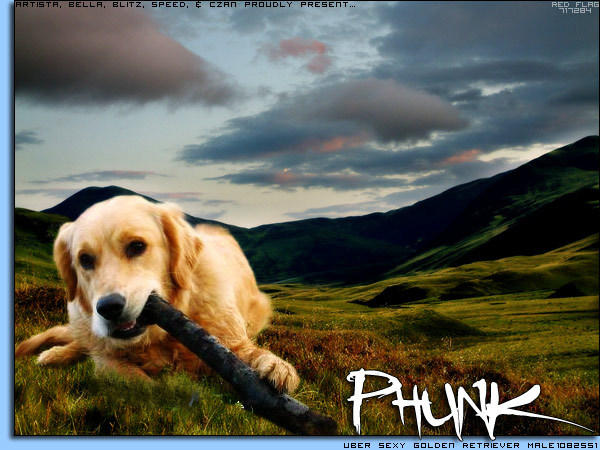 Phunk Bot Phunk by magsislove on DeviantArt