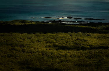 rangitoto