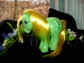 MLP Custom : Alt Lily of the V