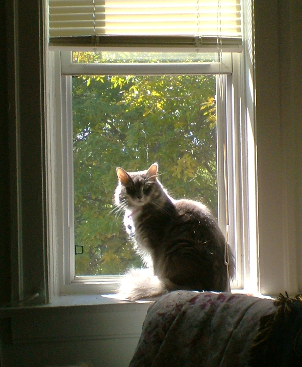 Eowyn In the Window