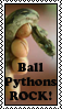 Ball Python Stamp