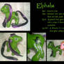 Custom MLP : Elphaba