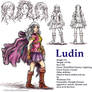 Ludin Rough Study Sheet