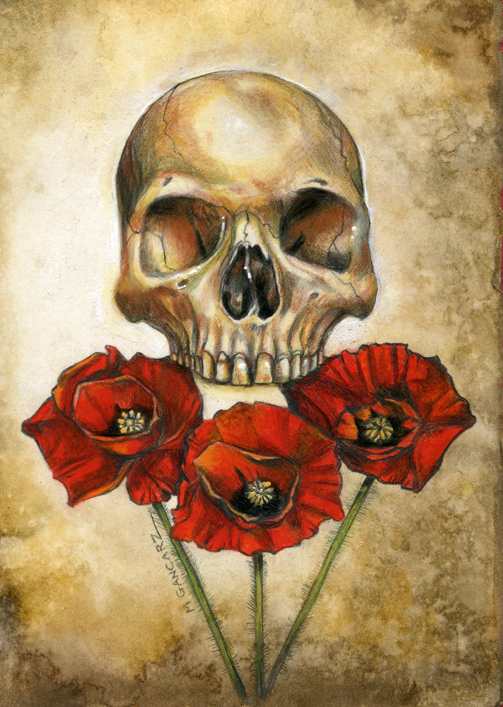 Poppy Skull