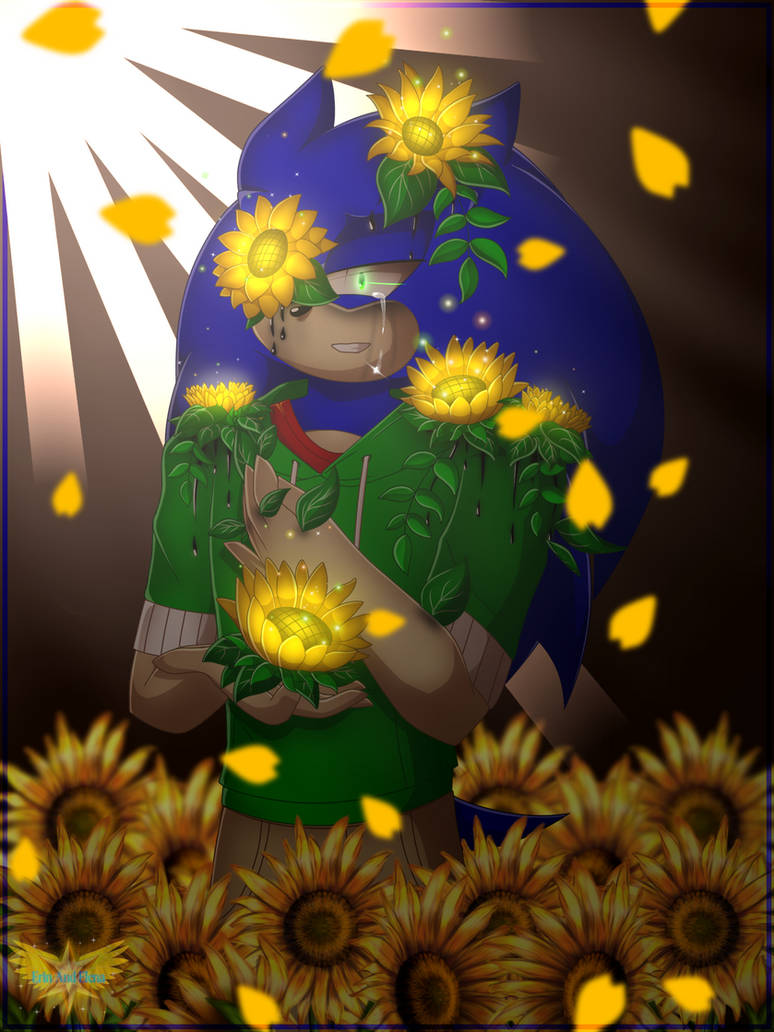 Sunflower Blooming Redraw Sonic The Hedgehog By ErinandElena On DeviantArt sunflower-blooming-redraw-sonic-the-hedgehog-by-erinandelena-on-deviantart