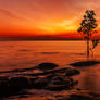 Darwin's-sunset2