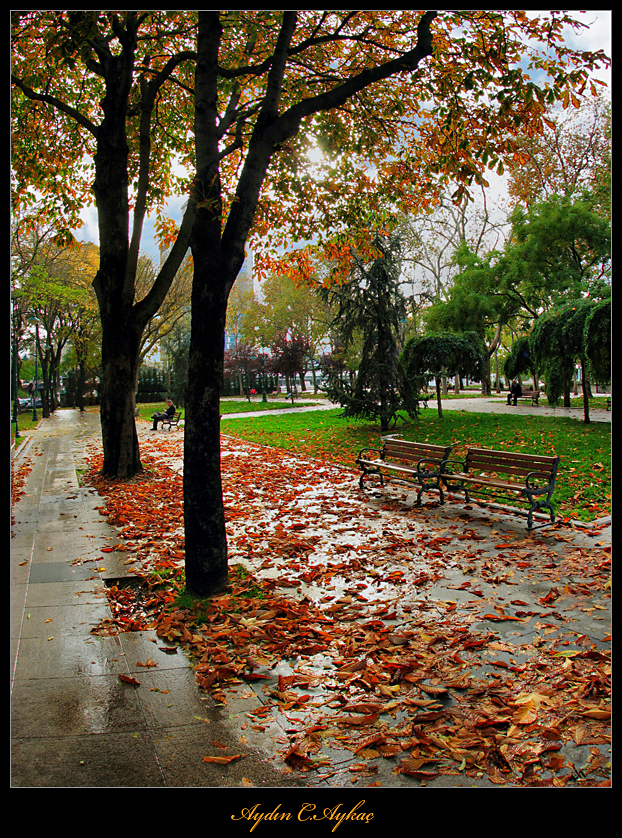 Autumn in Taksim