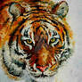 Tiger On The Snow by Leonid Afremov