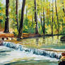 SPRING STREAM by Afremov Studio