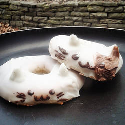 Cat donuts.