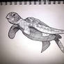 Sea Turtle