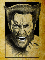 Wolverine