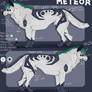 Meteor Ref 2013