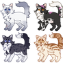:OPEN: Some Cat Adopts