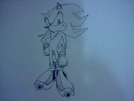 Shadow The Hedgehog