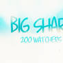 [ BIG SHARE ] HAPPY 200 WATCHERS