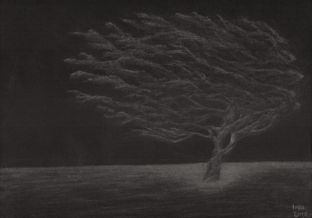 Weather Wind Spring Deviantart Wind by Insa-PigWithWings on DeviantArt