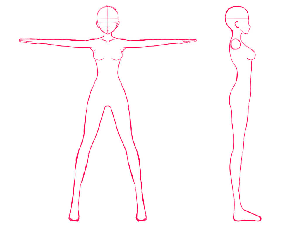 Anime Woman Model Sheet Blueprint By Alvarovilla On Deviantart Anime Woman Model Sheet Blueprint By Alvarovilla On Deviantart