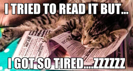 I tired to read it but I got so tired...zzzzz