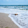 A virgin beach near Varna, Bulgaria