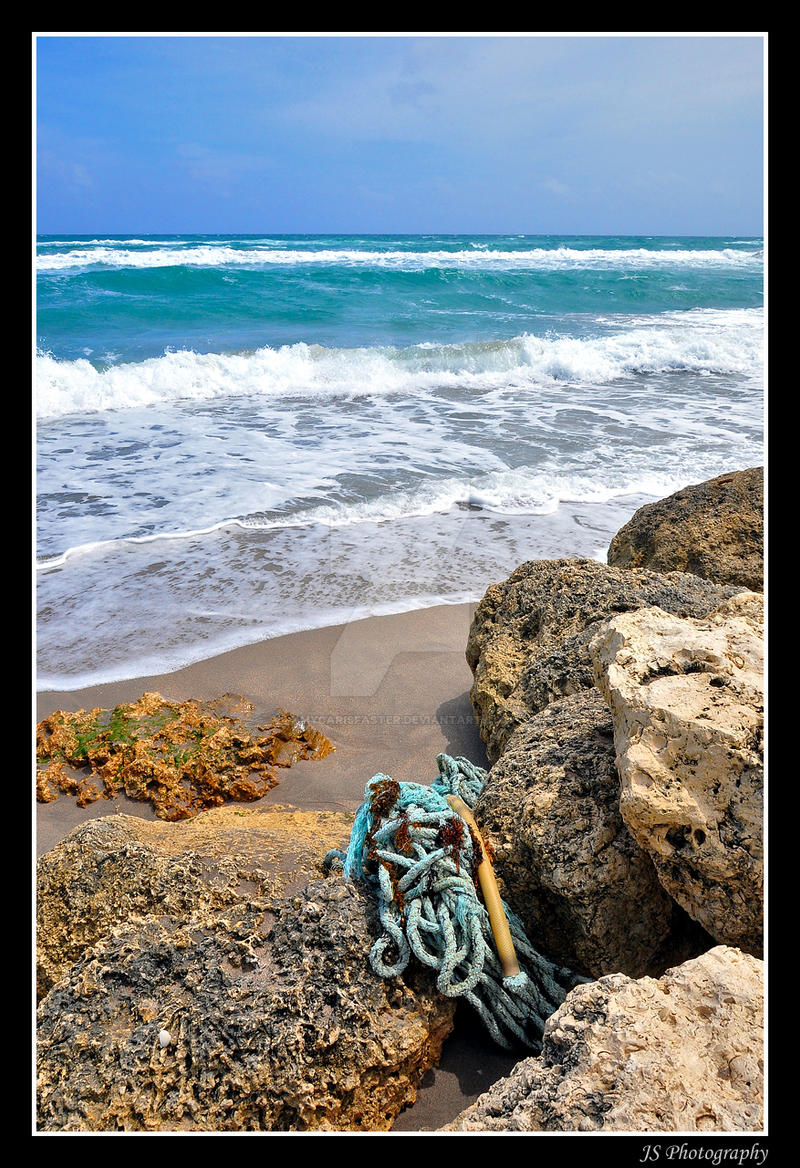 Atlantic Shoreline