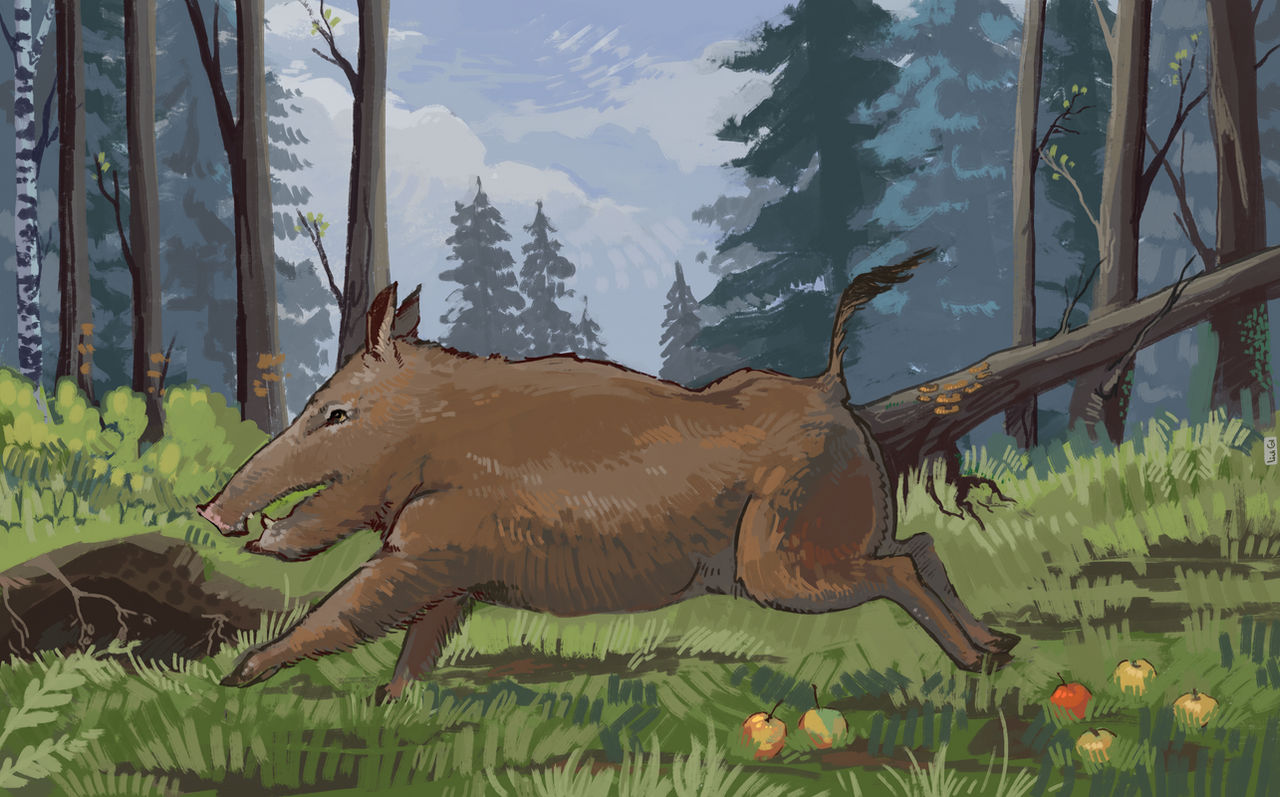 Boar Monkey Deviantart First time drawing a boar by LiuiGiii on DeviantArt