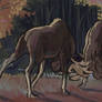 Moose Fight
