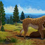 Smilodon comm