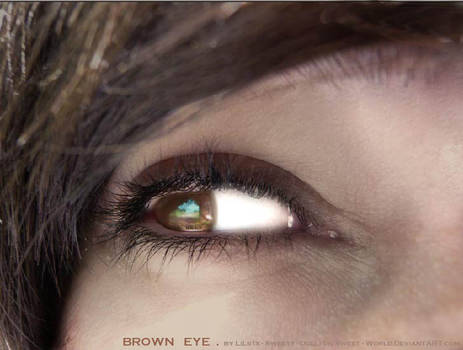 Brown Eye