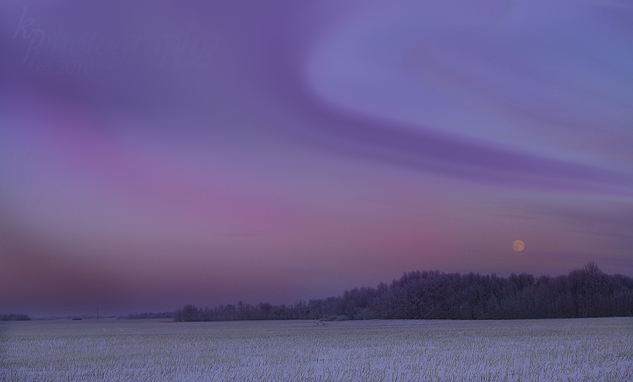 Alberta Moon