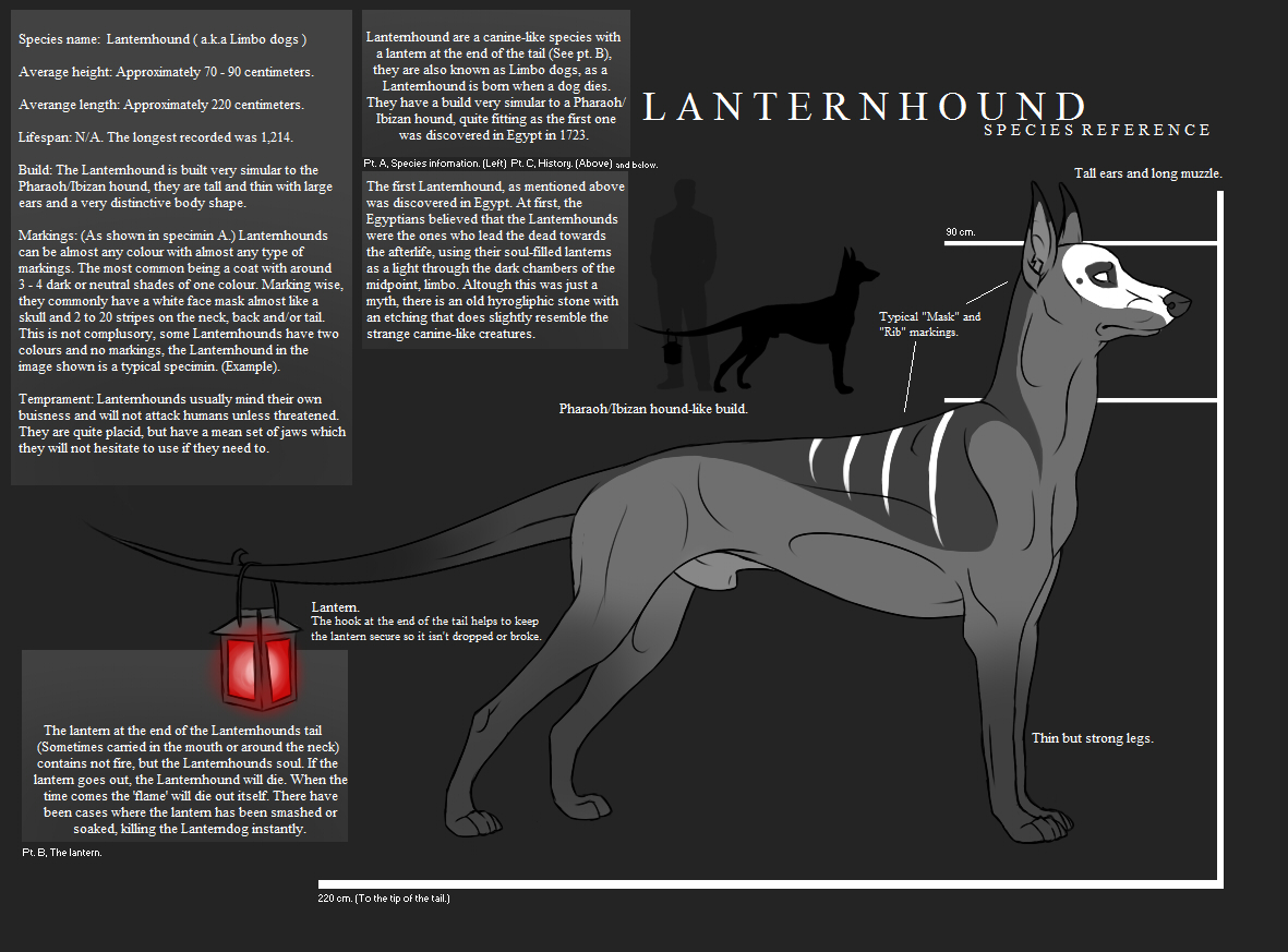 Lanternhound - Species sheet.