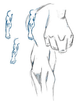 Arm practice