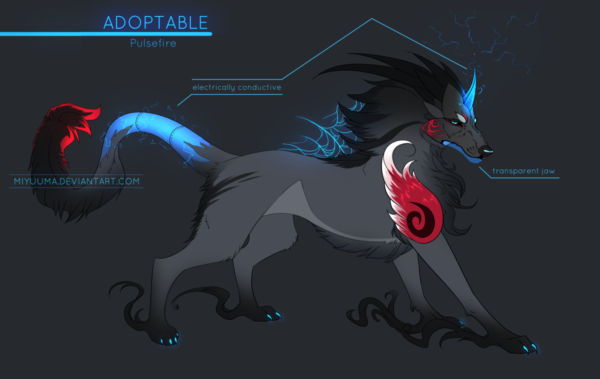 ADOPTABLE - Auction! // closed