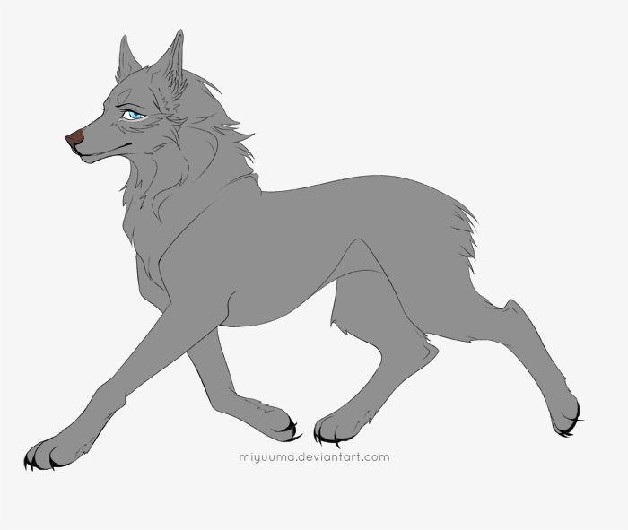FREE Wolf Template 2.0 by Miyukyu on DeviantArt