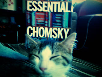 Essential Chomskitty