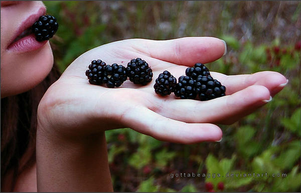 Blackberries