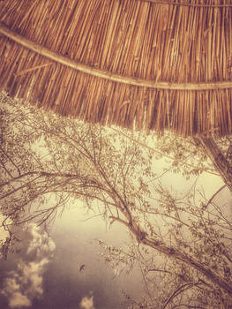 lying on the beach