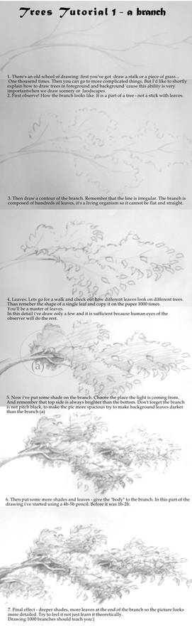 Tree tutorial 1 - a branch