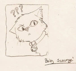 Baby Kitty Scourge